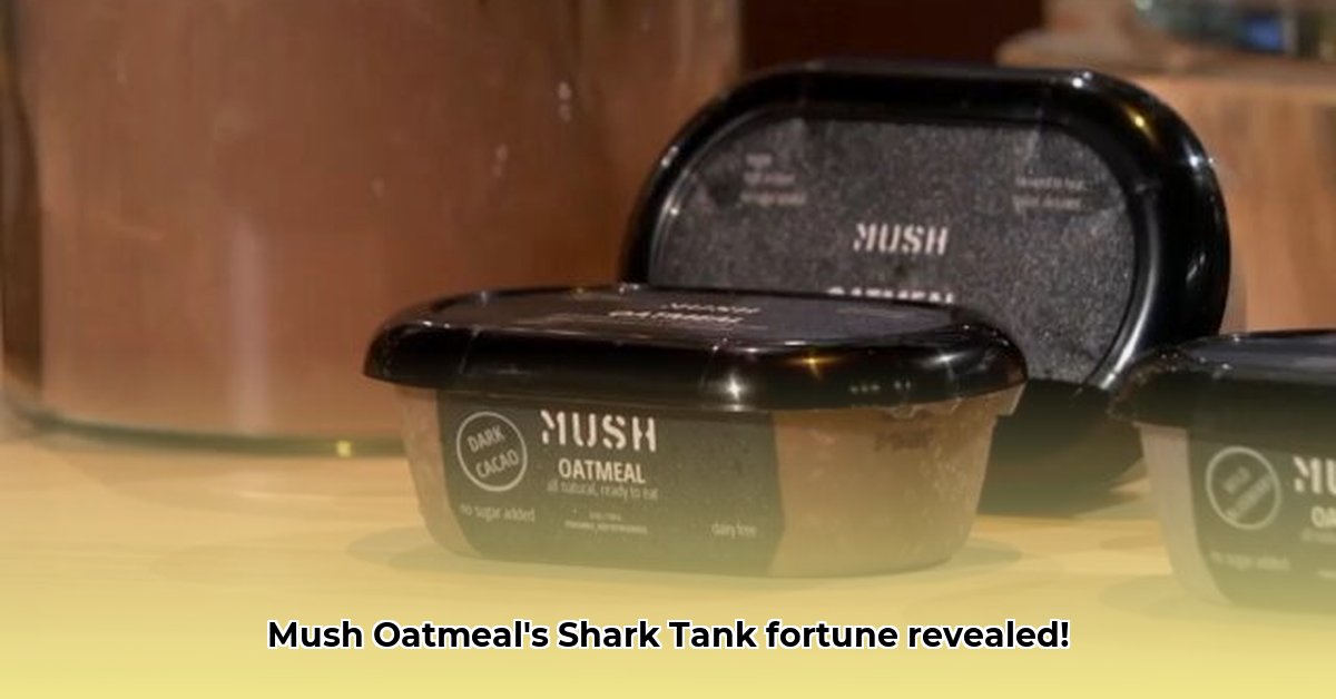 mush-oatmeal-net-worth